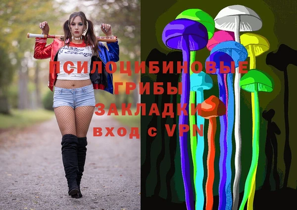 спиды Лагань
