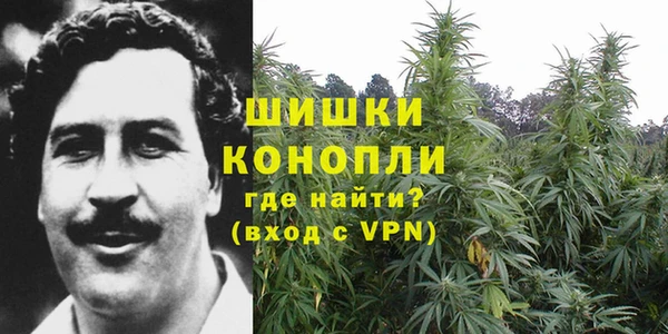 шишки Уссурийск