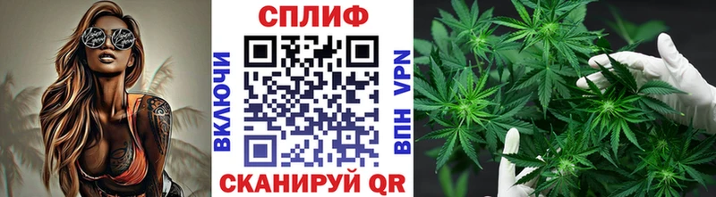 Шишки марихуана Bruce Banner Шахунья